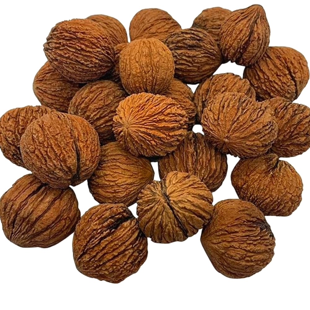BLACK WALNUTS 3  LBS